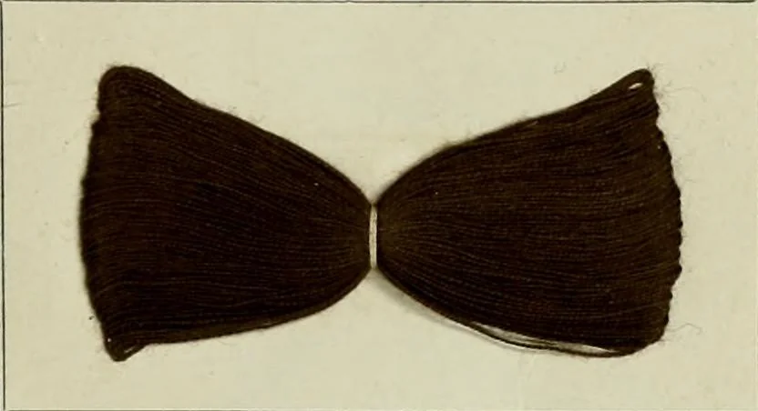 An illustration from Revue générale des mati`eres colorantes et des industries qui s'y rattachent, 1908, leaf 104