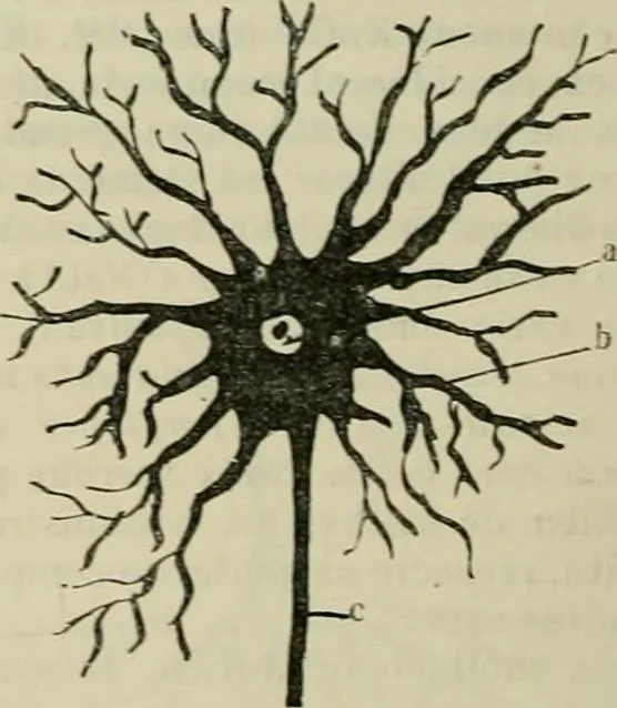 An illustration from Revue générale des mati`eres colorantes et des industries qui s'y rattachent, 1908, leaf 169