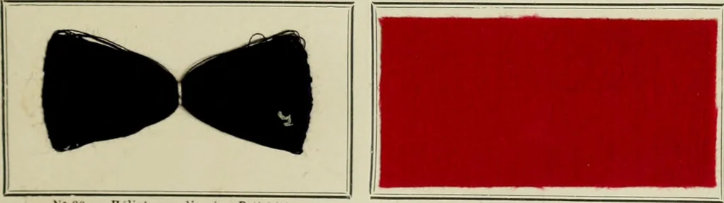 An illustration from Revue générale des mati`eres colorantes et des industries qui s'y rattachent, 1908, leaf 86