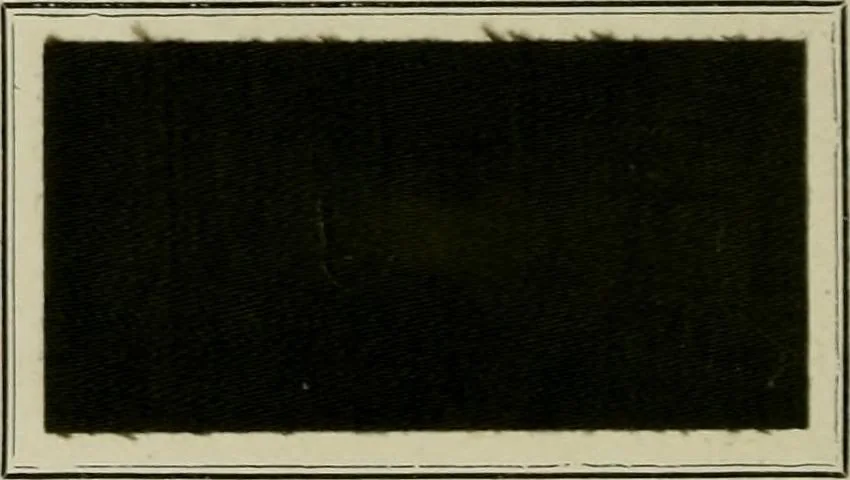 An illustration from Revue générale des mati`eres colorantes et des industries qui s'y rattachent, 1908, leaf 153