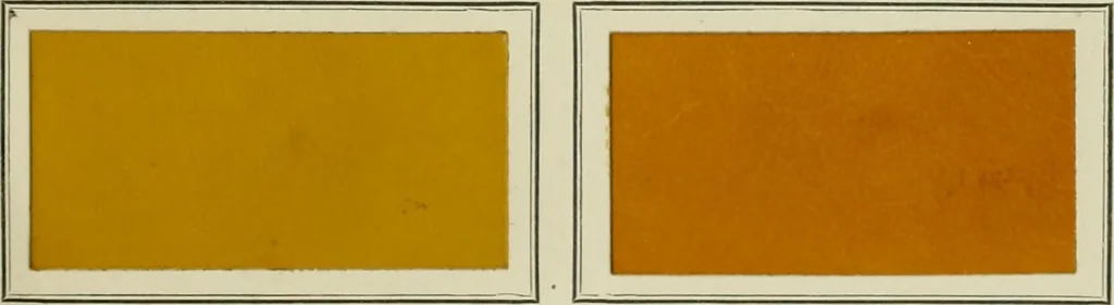 An illustration from Revue générale des mati`eres colorantes et des industries qui s'y rattachent, 1908, leaf 54