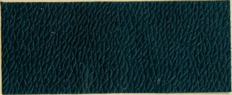 An illustration from Revue générale des mati`eres colorantes et des industries qui s'y rattachent, 1908, leaf 24