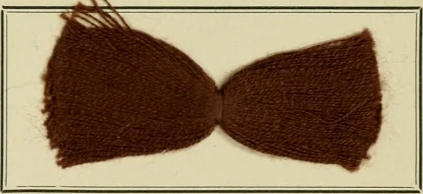 An illustration from Revue générale des mati`eres colorantes et des industries qui s'y rattachent, 1908, leaf 410