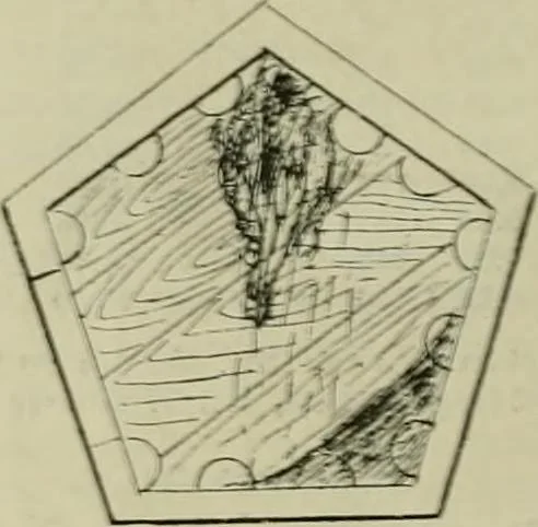 An illustration from Revue générale des mati`eres colorantes et des industries qui s'y rattachent, 1908, leaf 297