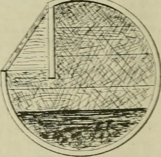 An illustration from Revue générale des mati`eres colorantes et des industries qui s'y rattachent, 1908, leaf 297