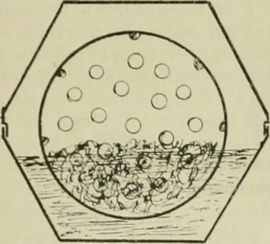 An illustration from Revue générale des mati`eres colorantes et des industries qui s'y rattachent, 1908, leaf 302