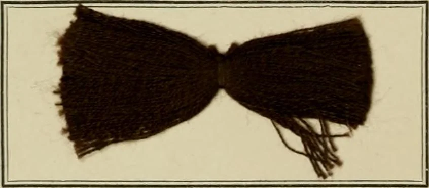 An illustration from Revue générale des mati`eres colorantes et des industries qui s'y rattachent, 1908, leaf 161