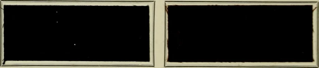 An illustration from Revue générale des mati`eres colorantes et des industries qui s'y rattachent, 1908, leaf 293