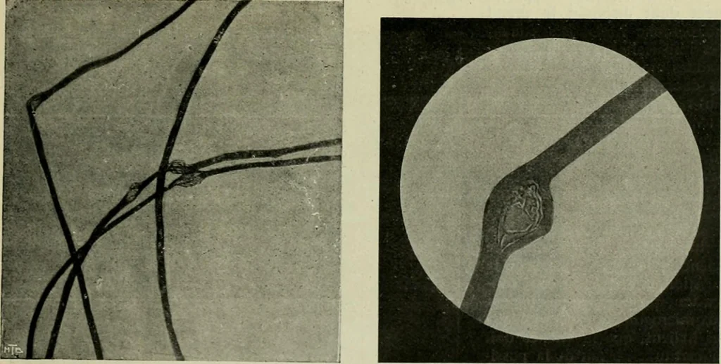An illustration from Revue générale des mati`eres colorantes et des industries qui s'y rattachent, 1908, leaf 392