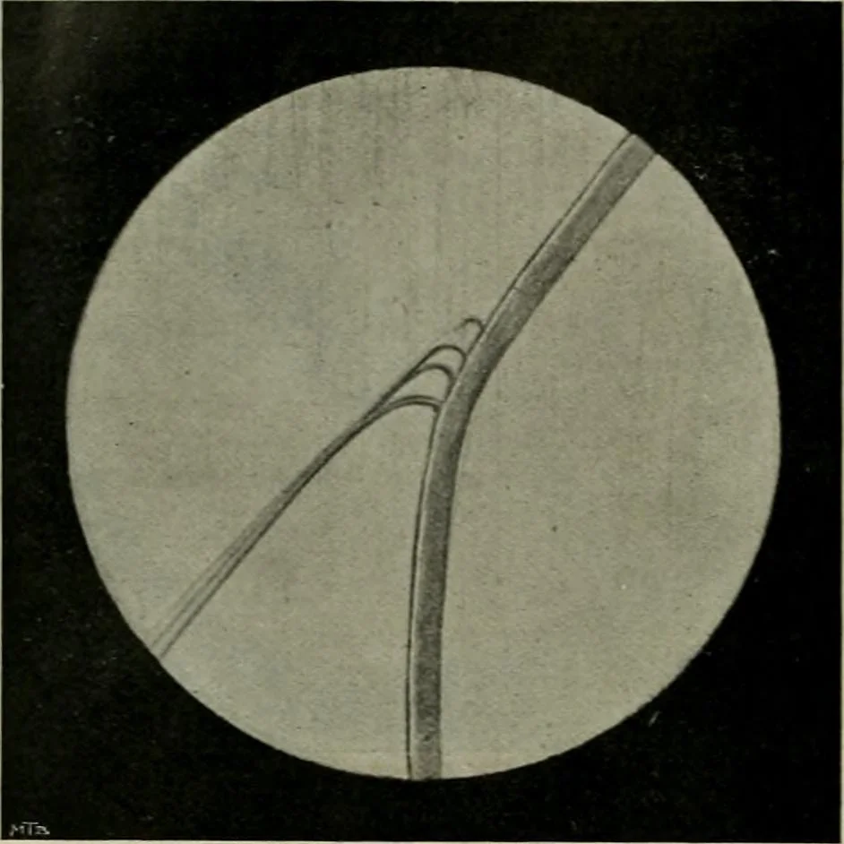 An illustration from Revue générale des mati`eres colorantes et des industries qui s'y rattachent, 1908, leaf 393