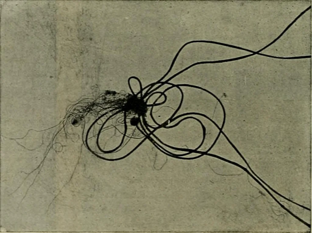 An illustration from Revue générale des mati`eres colorantes et des industries qui s'y rattachent, 1908, leaf 393