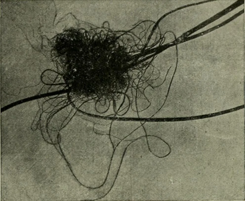 An illustration from Revue générale des mati`eres colorantes et des industries qui s'y rattachent, 1908, leaf 394