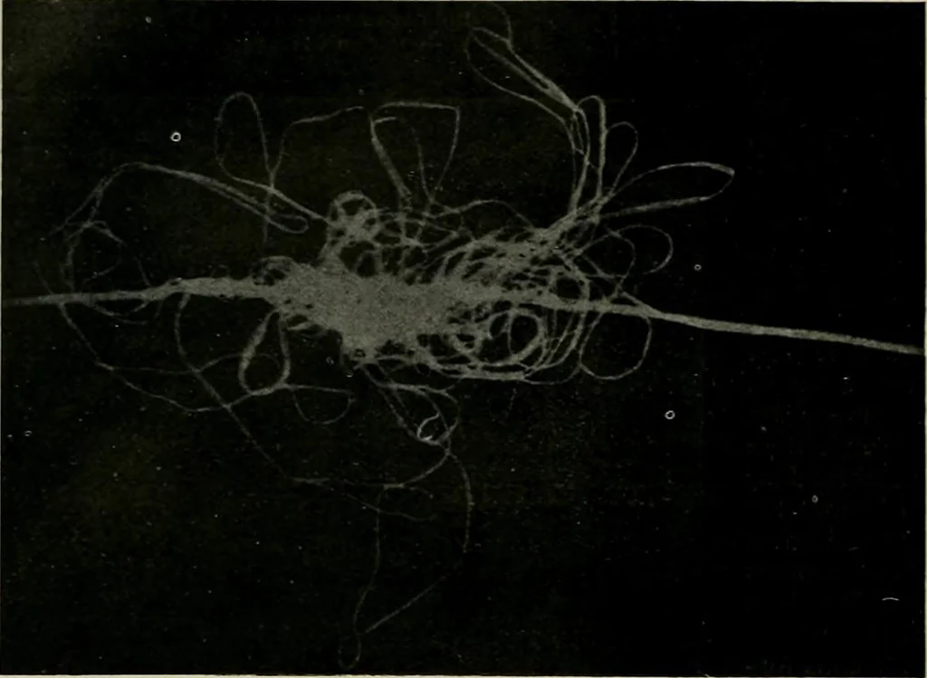 An illustration from Revue générale des mati`eres colorantes et des industries qui s'y rattachent, 1908, leaf 395
