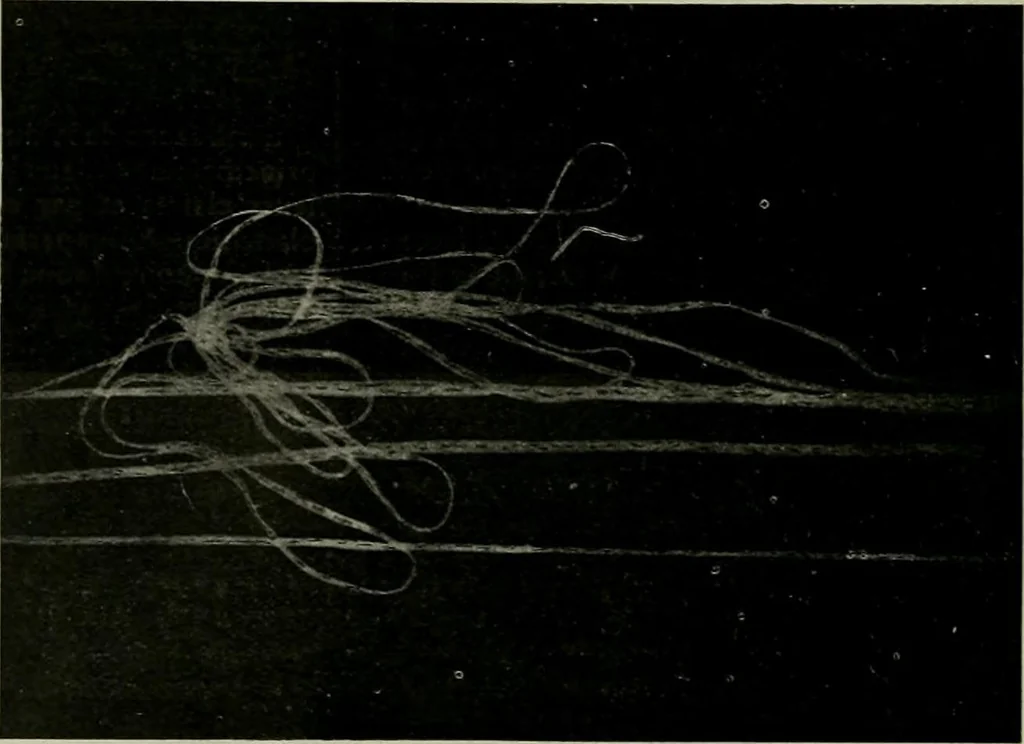 An illustration from Revue générale des mati`eres colorantes et des industries qui s'y rattachent, 1908, leaf 395