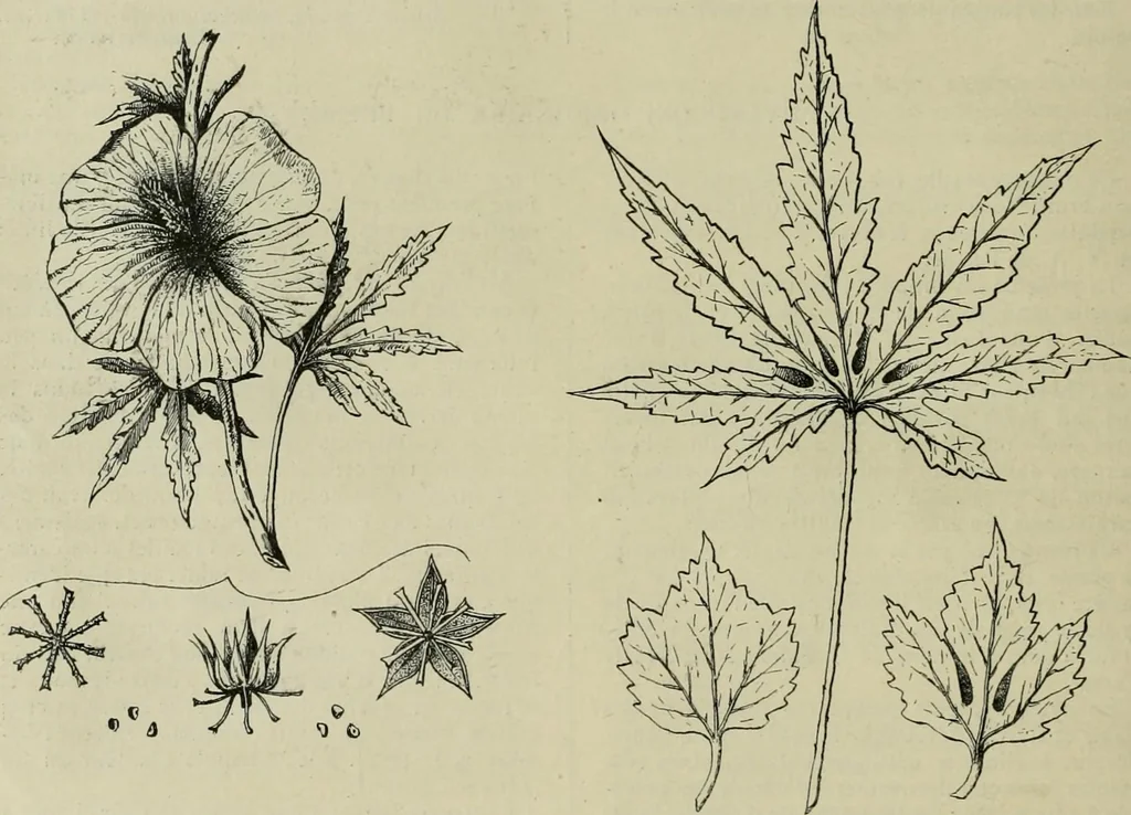 An illustration from Revue générale des mati`eres colorantes et des industries qui s'y rattachent, 1908, leaf 123
