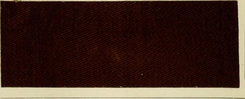 An illustration from Revue générale des mati`eres colorantes et des industries qui s'y rattachent, 1908, leaf 376