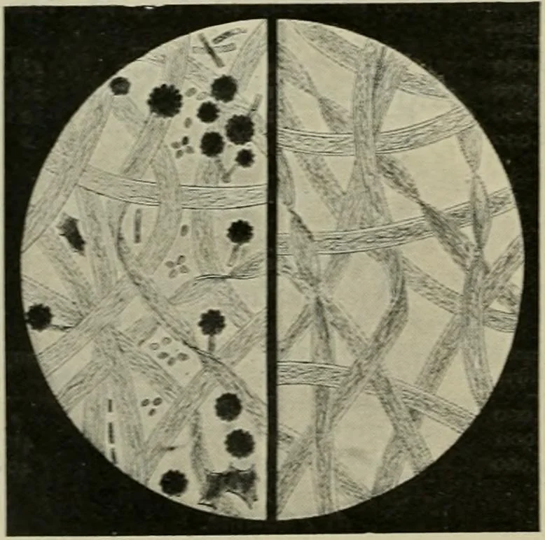 An illustration from Revue générale des mati`eres colorantes et des industries qui s'y rattachent, 1908, leaf 43