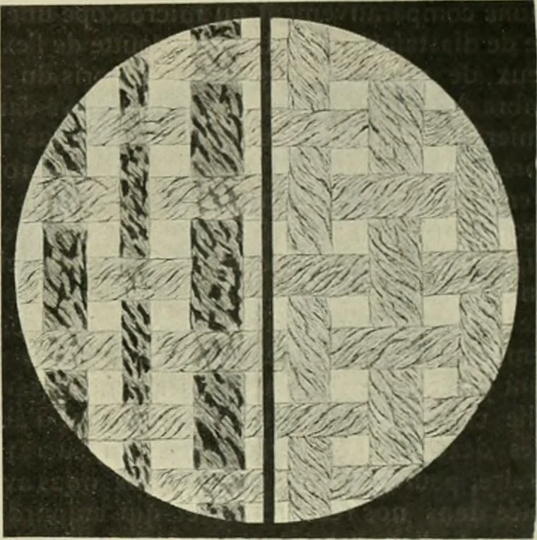 An illustration from Revue générale des mati`eres colorantes et des industries qui s'y rattachent, 1908, leaf 44