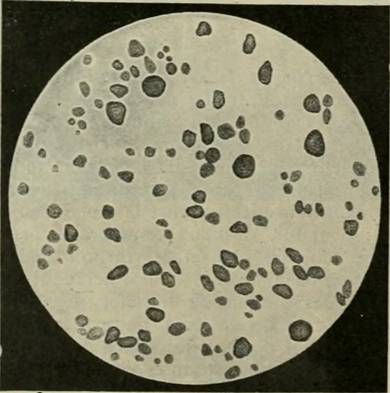 An illustration from Revue générale des mati`eres colorantes et des industries qui s'y rattachent, 1908, leaf 45