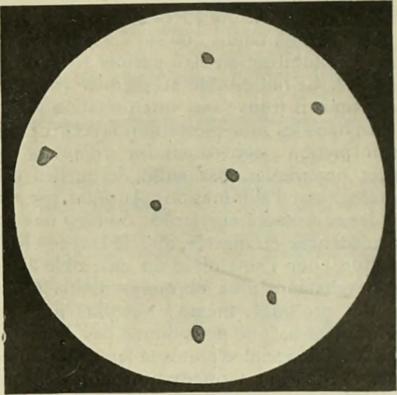 An illustration from Revue générale des mati`eres colorantes et des industries qui s'y rattachent, 1908, leaf 46