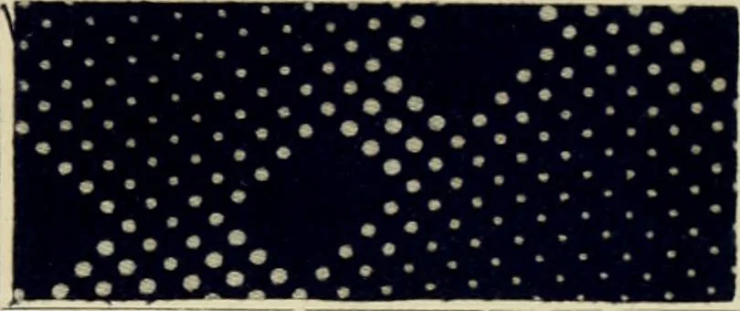 An illustration from Revue générale des mati`eres colorantes et des industries qui s'y rattachent, 1908, leaf 56