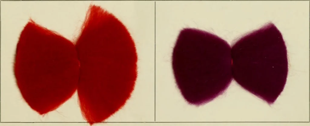 An illustration from Revue générale des matières colorantes et de leurs applications aux textiles, 1908, leaf 352