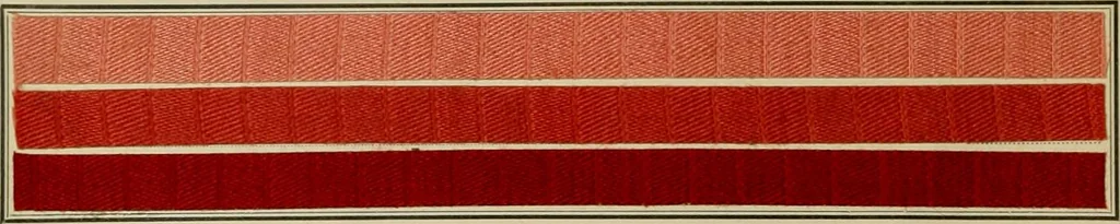An illustration from Revue générale des matières colorantes et de leurs applications aux textiles, 1908, leaf 379
