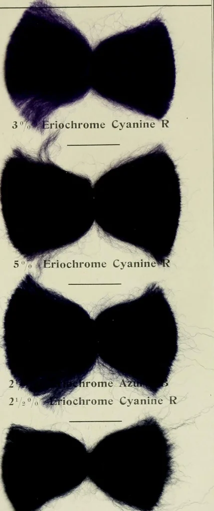 An illustration from Revue générale des matières colorantes et de leurs applications aux textiles, 1908, leaf 112