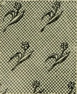 An illustration from Revue générale des matières colorantes et de leurs applications aux textiles, 1908, leaf 137