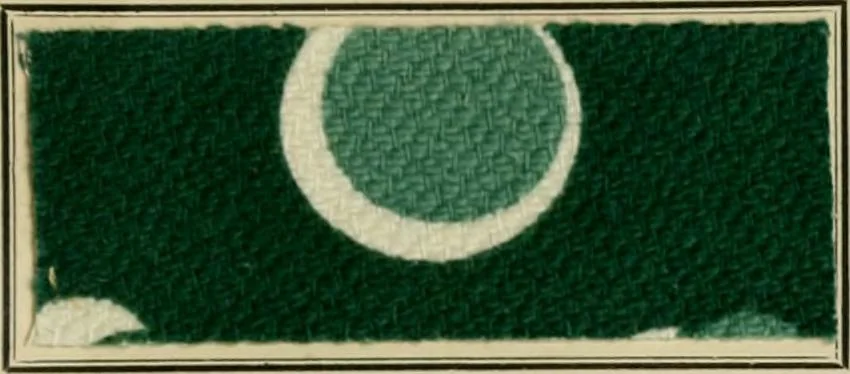 An illustration from Revue générale des matières colorantes et de leurs applications aux textiles, 1908, leaf 158