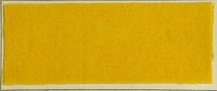 An illustration from Revue générale des matières colorantes et de leurs applications aux textiles, 1908, leaf 26
