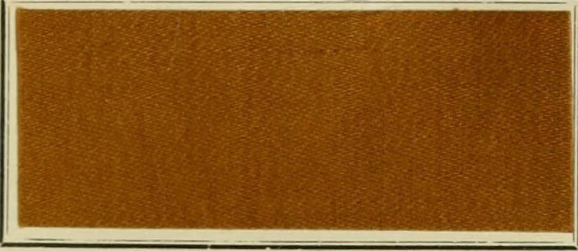 An illustration from Revue générale des matières colorantes et de leurs applications aux textiles, 1908, leaf 362