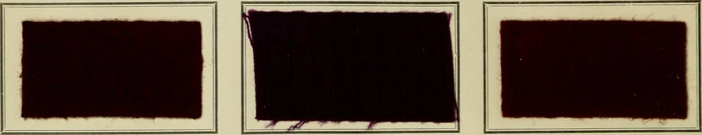 An illustration from Revue générale des matières colorantes et de leurs applications aux textiles, 1908, leaf 393