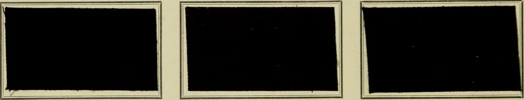 An illustration from Revue générale des matières colorantes et de leurs applications aux textiles, 1908, leaf 393