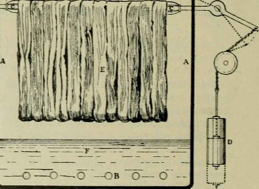 An illustration from Revue générale des matières colorantes et de leurs applications aux textiles, 1908, leaf 409
