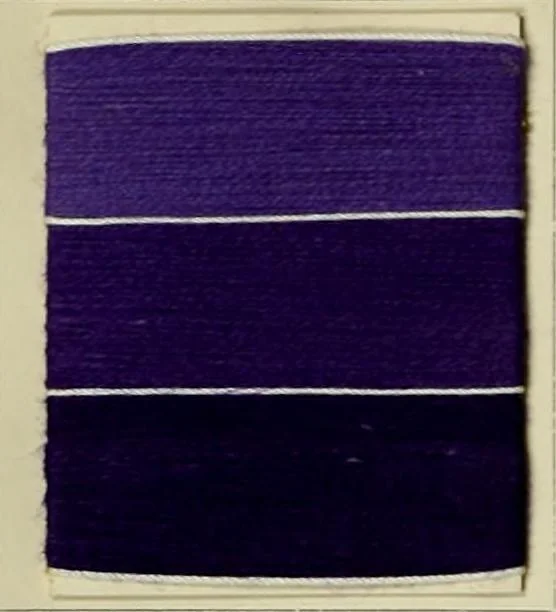 An illustration from Revue générale des matières colorantes de la teinture, de l'impression et des apprêts, 1910, leaf 165