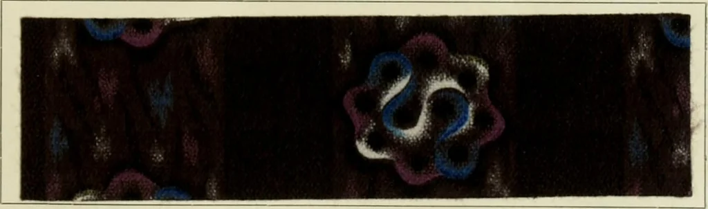 An illustration from Revue générale des matières colorantes de la teinture, de l'impression et des apprêts, 1910, leaf 306