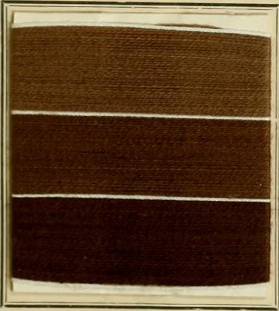 An illustration from Revue générale des matières colorantes de la teinture, de l'impression et des apprêts, 1910, leaf 220