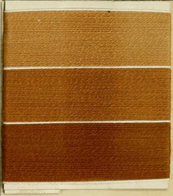 An illustration from Revue générale des matières colorantes de la teinture, de l'impression et des apprêts, 1910, leaf 312