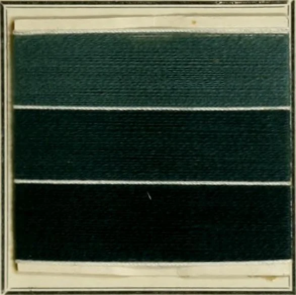 An illustration from Revue générale des matières colorantes de la teinture, de l'impression et des apprêts, 1910, leaf 212