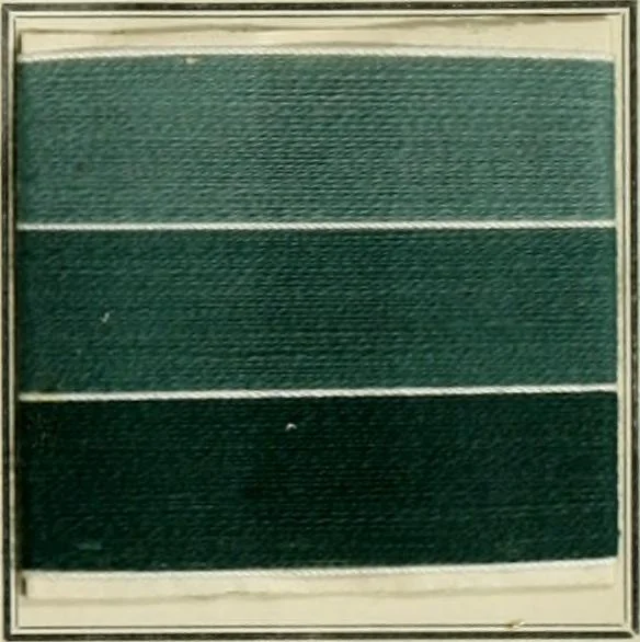 An illustration from Revue générale des matières colorantes de la teinture, de l'impression et des apprêts, 1910, leaf 212