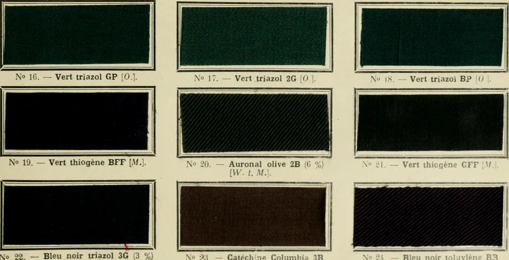 An illustration from Revue générale des matières colorantes de la teinture, de l'impression et des apprêts, 1910, leaf 24