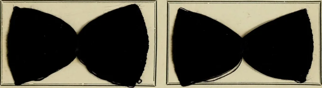 An illustration from Revue générale des mati`eres colorantes et des industries qui s'y rattachent, 1908, leaf 190