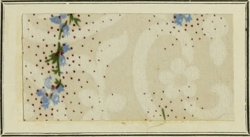 An illustration from Revue générale des mati`eres colorantes et des industries qui s'y rattachent, 1908, leaf 308