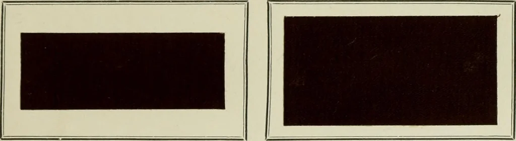An illustration from Revue générale des mati`eres colorantes et des industries qui s'y rattachent, 1908, leaf 308