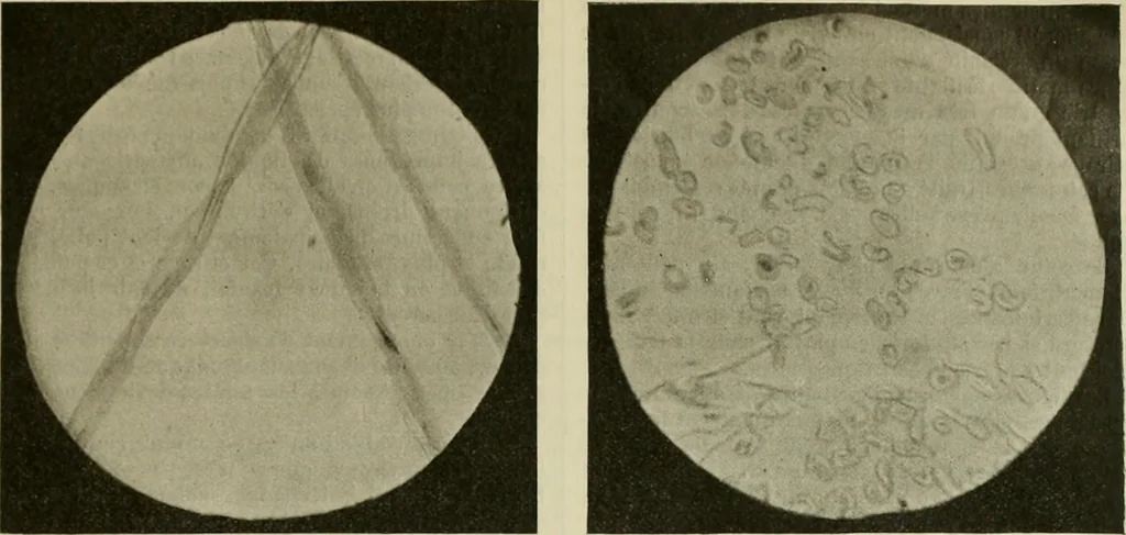 An illustration from Revue générale des mati`eres colorantes et des industries qui s'y rattachent, 1908, leaf 402