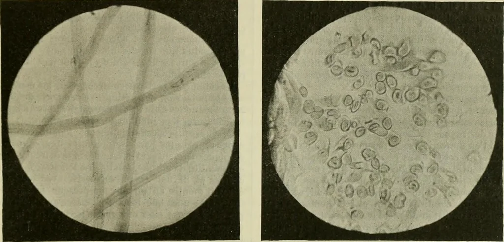 An illustration from Revue générale des mati`eres colorantes et des industries qui s'y rattachent, 1908, leaf 402
