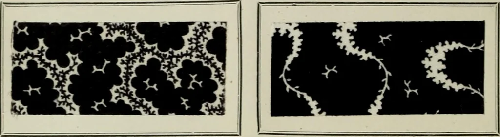 An illustration from Revue générale des mati`eres colorantes et des industries qui s'y rattachent, 1908, leaf 499