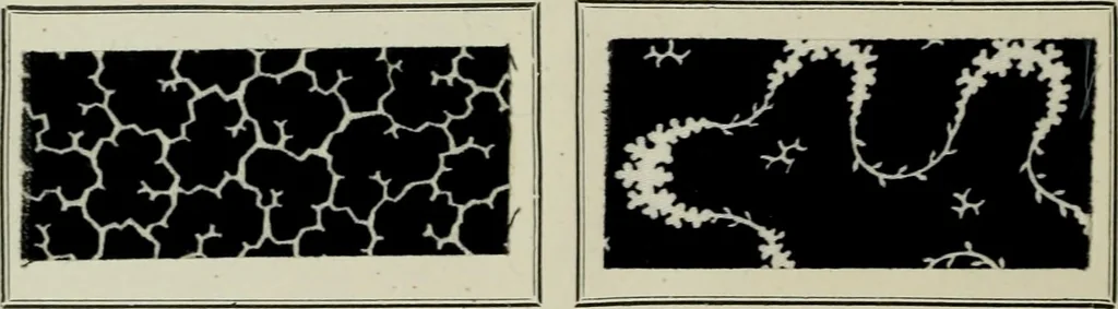 An illustration from Revue générale des mati`eres colorantes et des industries qui s'y rattachent, 1908, leaf 499