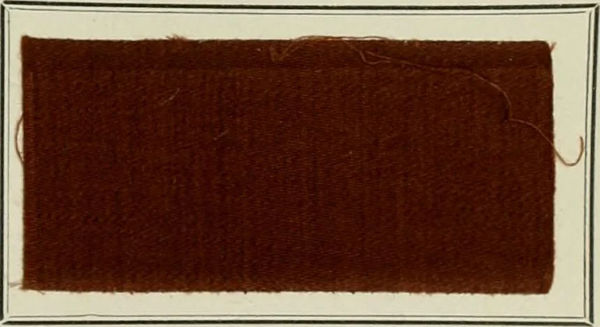 An illustration from Revue générale des mati`eres colorantes et des industries qui s'y rattachent, 1908, leaf 500